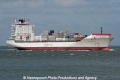 Safmarine Nakuru (MS-S-809-4).jpg