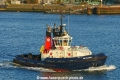VB Falcon (MB-110826-2).jpg