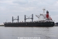 Scarabe OS-150121-14.jpg