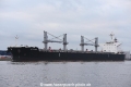 Scarabe OS-150121-12.jpg