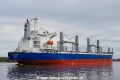SE Cardi (OK-190320-3).jpg