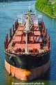 Schuyler Trader RA-090518-06.jpg