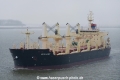 Sea Hawk OS-101217-02.jpg