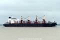 Schuyler Trader (KK-240516-1).jpg