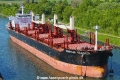 Schuyler Trader RA-090518-05.jpg