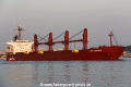 Sea Lavender RV-260614-02.jpg