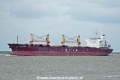 Seahorse (KK-270423-2).jpg