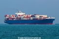 SFL Maui OS-131123-02.jpg