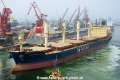 Seastar Trojan (LW-011023-01).jpg