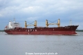 Seahorse KH-270423-4.jpg
