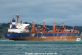 Sealuck 2 (OK-030214-4).jpg