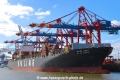 SM Savannah JP-070718-01.jpg