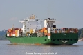 Sonche Trader (KB-D200815-03).jpg