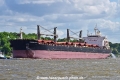 Shanghai Eagle (KB-D160523-01).jpg
