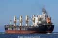 Shi Long Ling TR-110615-151.jpg