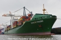 Sonche Trader 081014-02.jpg