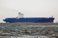 Tessa (MS-171011-02).jpg