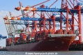 Sino Bridge 010818-02.jpg