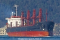 Silver Shark (OK-170315-0).jpg
