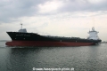 Sinotrans Shanghai (MS-020505-3).jpg