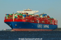 COSCO Shipping Virgo TL-080718-4.jpg