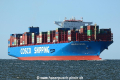 COSCO Shipping Universe TL-190718-06.jpg