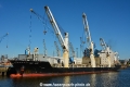 BBC Reef (KB-D240420-02).jpg