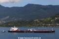 Besiktas Bosphorus RV-070121-08.jpg