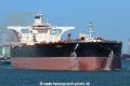 Pacific M LS-040719-2.jpg