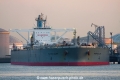 Pacific Glory (MM-240312-1).jpg