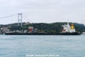 Cape Ray (OK-270918-5).jpg