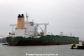 Orthis (MM-220215-2).jpg