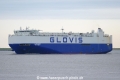 Glovis Superior (KK-110521-0).jpg