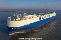 Glovis Safety KH-051219-6.jpg