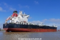 British Captain (OK-240420-3).jpg