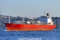 Gas Manta (OK-021018-1).jpg