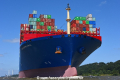 Cosco Shipping Virgo 060718-11.jpg