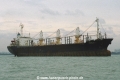 Arabella OS-FN800-1.jpg