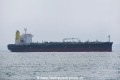 Boxer OS-011019-03.jpg