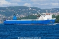 Barbat (OK-310826-2).jpg
