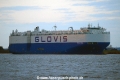 Glovis Crown 080216-01.jpg