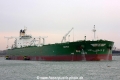 Orthis (MM-220215-1).jpg