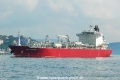 Gas Grouper (OK-270714-0).jpg