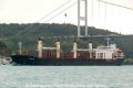 Araya (OK-041013-1).jpg