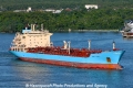 Brigit Maersk RV-171111-01.jpg