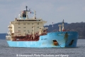 Brigit Maersk (KB-D310310-02).jpg