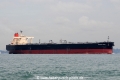 Perseus Trader OS-040410-04.jpg