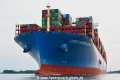 Cosco Shipping Universe 190718-33.jpg