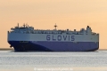 Glovis Cosmos (KK-010516-0).jpg