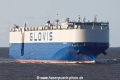 Glovis Sonic TJ-020917-021.jpg